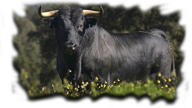 chertog-tura-slavyanskie-oberegi